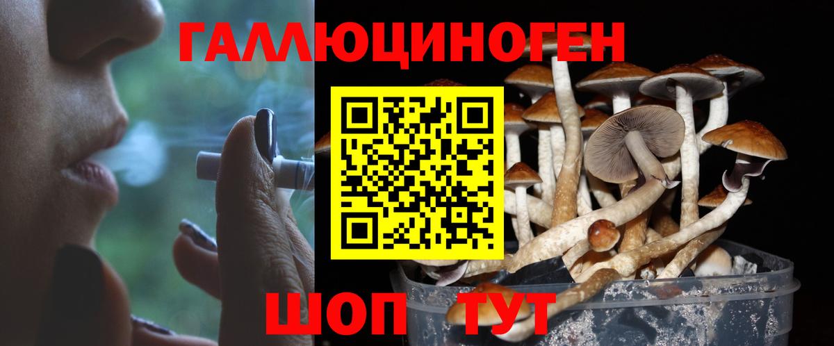 Псилоцибиновые грибы мухоморы Киселёвск